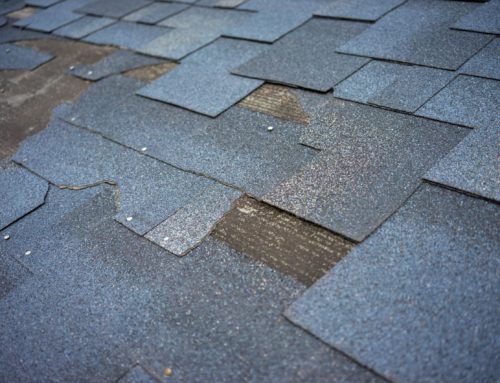 Signs You Need A New Roof
