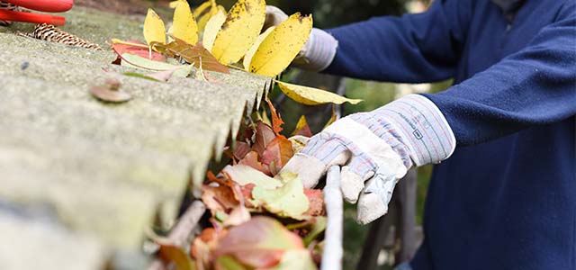 images-whitespace-small-hp012930112928