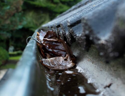 The Ultimate Guide to Cleaning Your Gutters