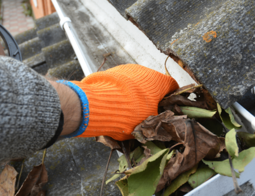 Clear and Clean: The Importance of Professional Gutter Cleaning